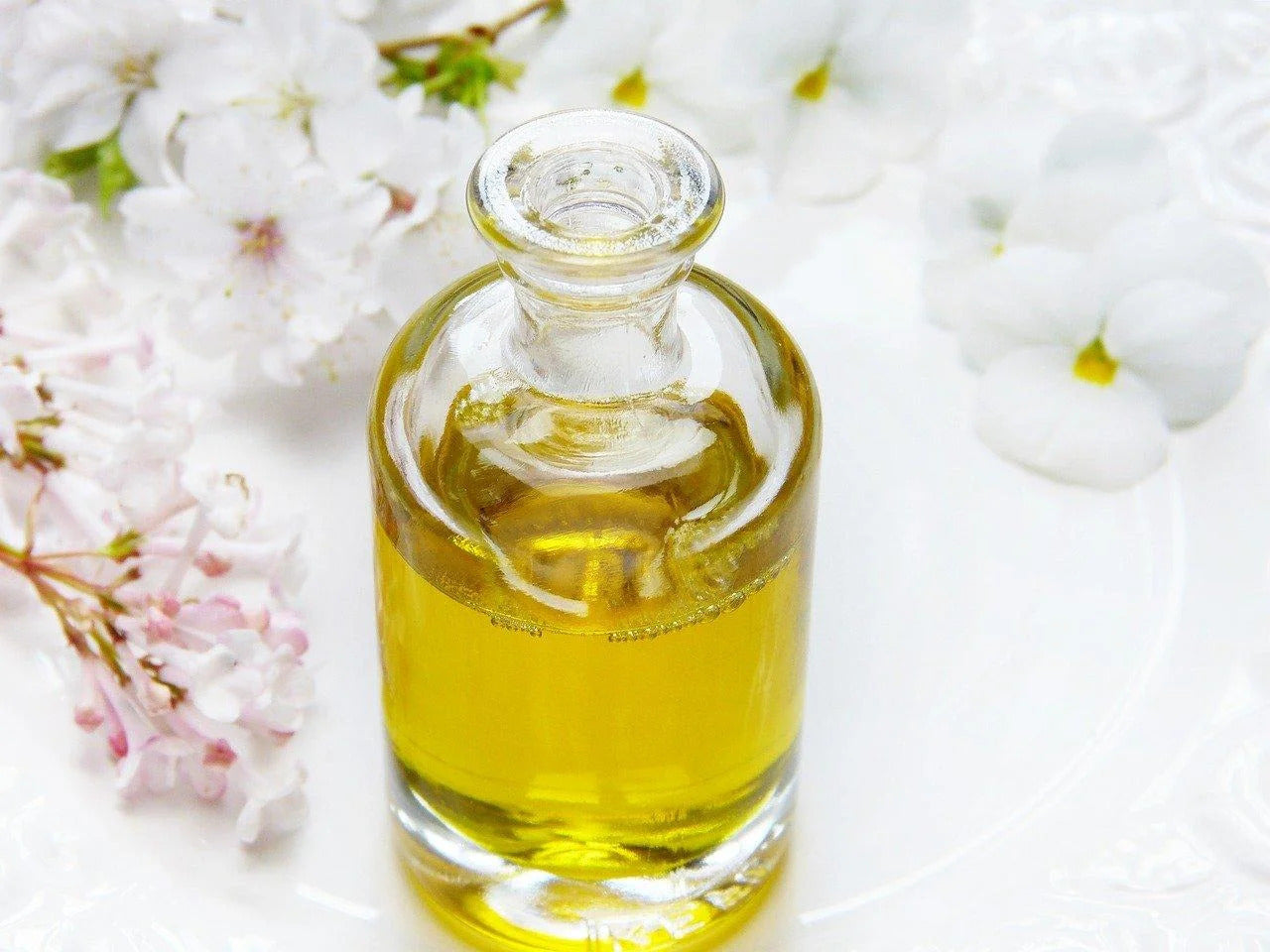 IS GI THE RIGHT PERFUME FOR YOU?