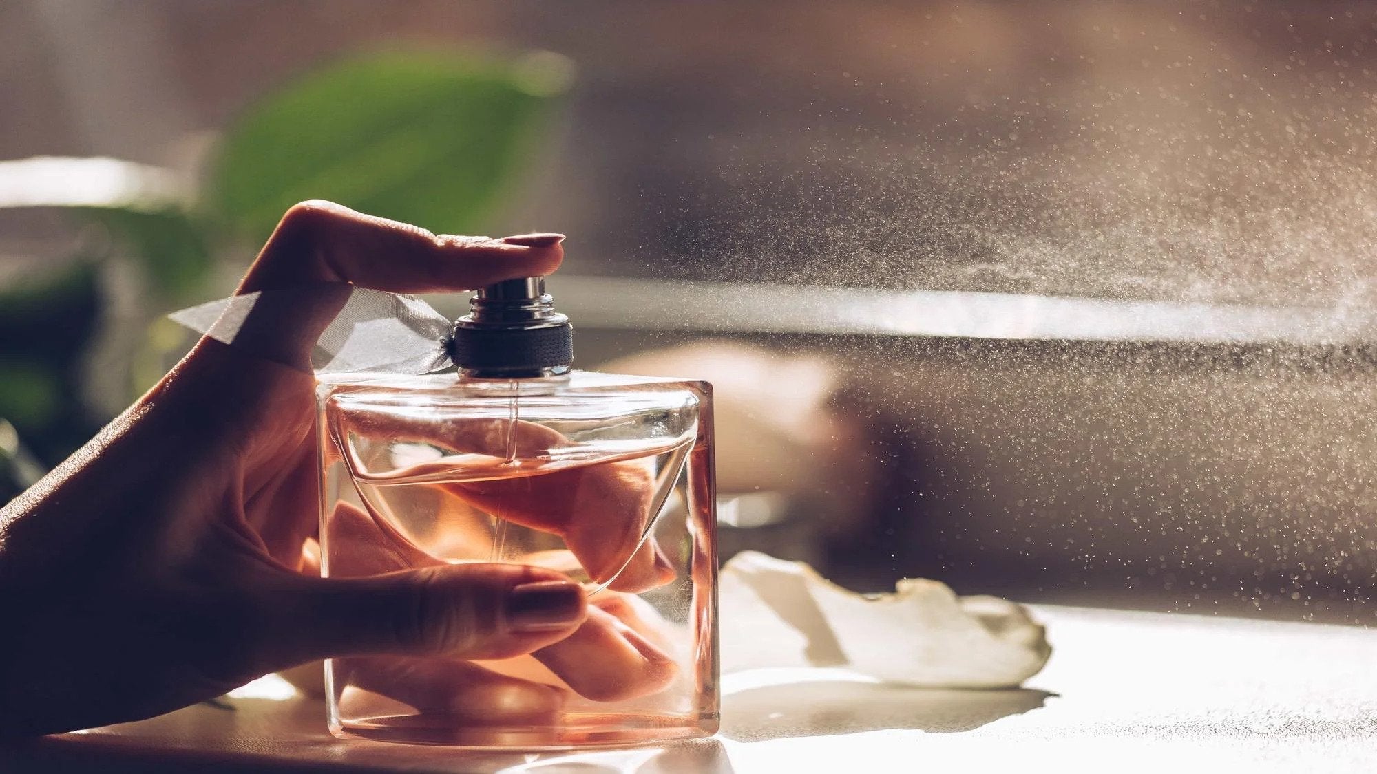 HOW TO SHOP FOR BEST PERFUMES ACCORDING TO SEASONS